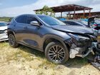2024 Lexus Nx 250 Premium Charcoal vin: JTJGDCAZ8R2010534