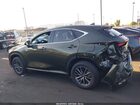 2024 Lexus Nx 350 Premium Зеленый vin: JTJGGCEZ3R2010586