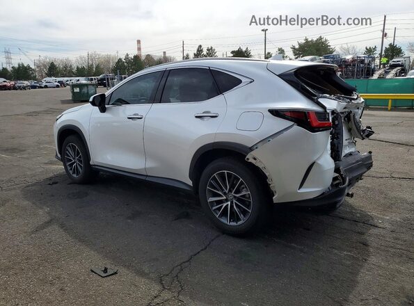 JTJGKCEZ2R5013573 2024 LEXUS NX White Tył lewy