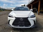 2024 Lexus Nx 350h Premium White vin: JTJGKCEZ2R5013573
