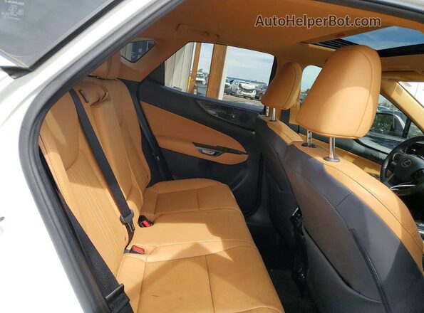 JTJGKCEZ2R5013573 2024 LEXUS NX White Widok tylnych siedzeń