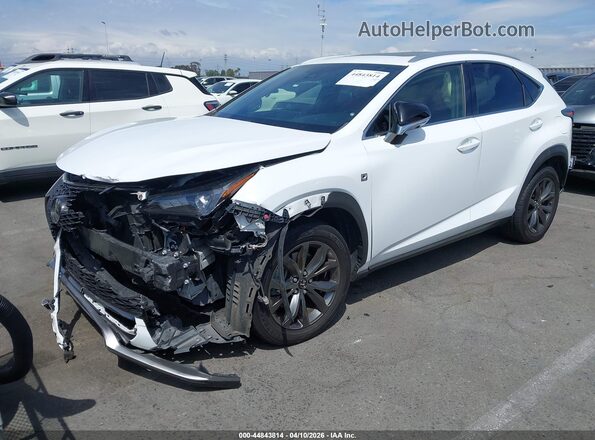 JTJSARBZ6M5022564 2021 LEXUS NX 300 White წინა მარცხენა ხედი სამი მეოთხედიდან