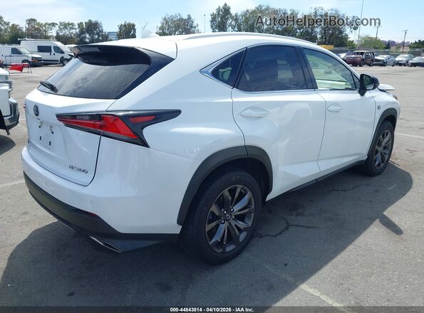 JTJSARBZ6M5022564 2021 LEXUS NX 300 White უკანა მარჯვენა