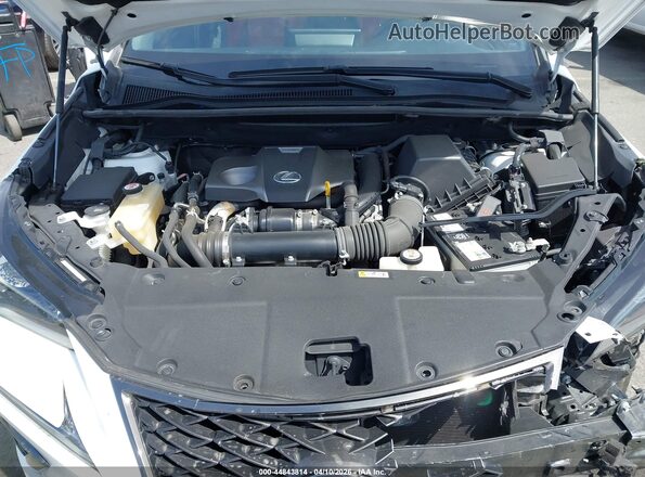 JTJSARBZ6M5022564 2021 LEXUS NX 300 White უკანა ხედი