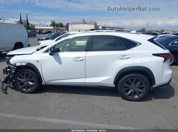 JTJSARBZ6M5022564 2021 LEXUS NX 300 White 
