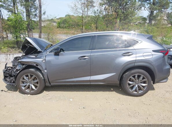 JTJSARBZ8M2199442 2021 LEXUS NX 300 Gray Սալոնի 360 աստիճան տեսք