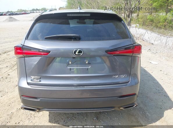 JTJSARBZ8M2199442 2021 LEXUS NX 300 Gray 