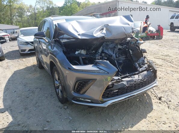 JTJSARBZ8M2199442 2021 LEXUS NX 300 Gray Առջևի աջ