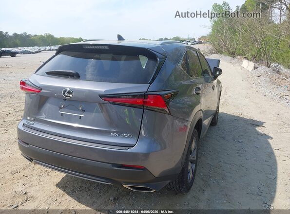 JTJSARBZ8M2199442 2021 LEXUS NX 300 Gray Հետևի աջ