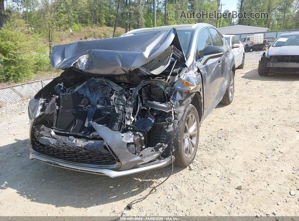 JTJSARBZ8M2199442 2021 LEXUS NX 300 Gray Առջևի ձախ երեք քառորդ տեսարան