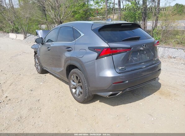 JTJSARBZ8M2199442 2021 LEXUS NX 300 Gray Հետևի ձախ