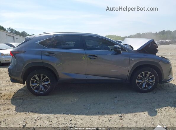 JTJSARBZ8M2199442 2021 LEXUS NX 300 Gray Սալոնի հետևի տեսք