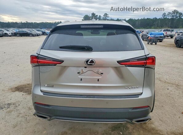 JTJSARDZ0L2229495 2020 LEXUS NX Gray Vista trasera