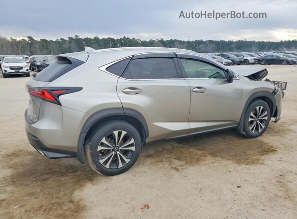 JTJSARDZ0L2229495 2020 LEXUS NX Gray Trasero derecho