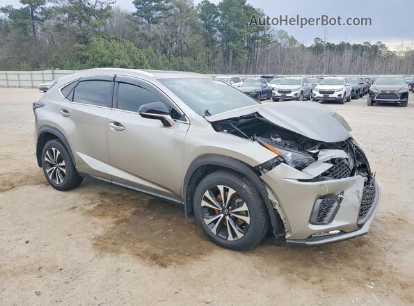 JTJSARDZ0L2229495 2020 LEXUS NX Gray Delantero derecho