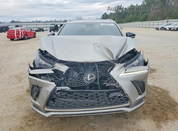 JTJSARDZ0L2229495 2020 LEXUS NX Gray Vista frontal
