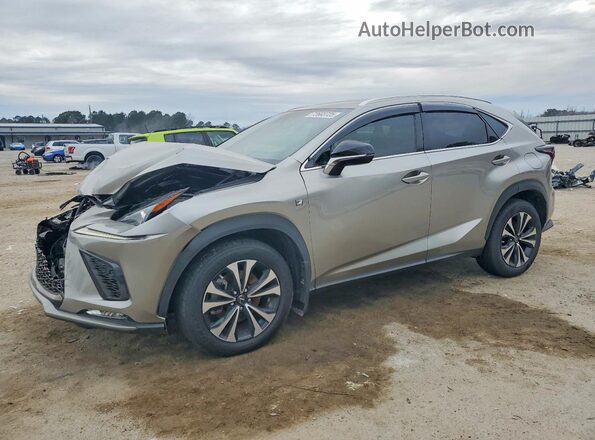JTJSARDZ0L2229495 2020 LEXUS NX Gray Vista tres cuartos delantera izquierda