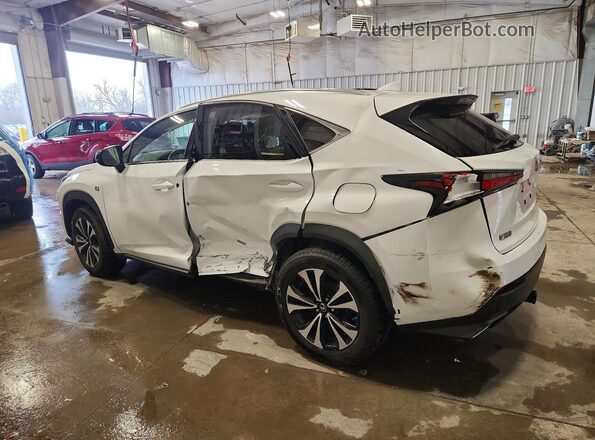 JTJSARDZ2L5006924 2020 LEXUS NX White უკანა მარცხენა
