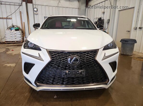 JTJSARDZ2L5006924 2020 LEXUS NX White წინა ხედი