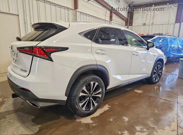 JTJSARDZ2L5006924 2020 LEXUS NX White უკანა მარჯვენა