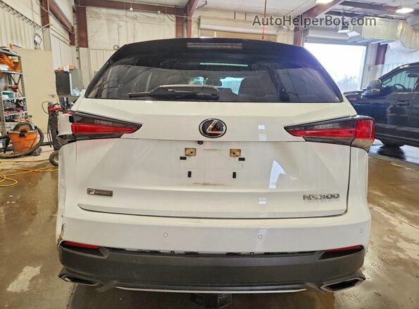 JTJSARDZ2L5006924 2020 LEXUS NX White უკანა ხედი