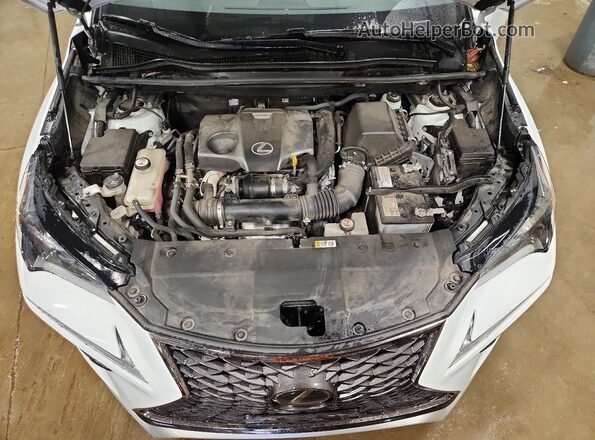 JTJSARDZ2L5006924 2020 LEXUS NX White ძრავის განყოფილების ხედი