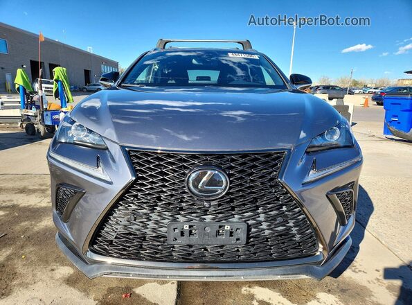 JTJSARDZ5L5011583 2020 LEXUS NX Gray წინა ხედი