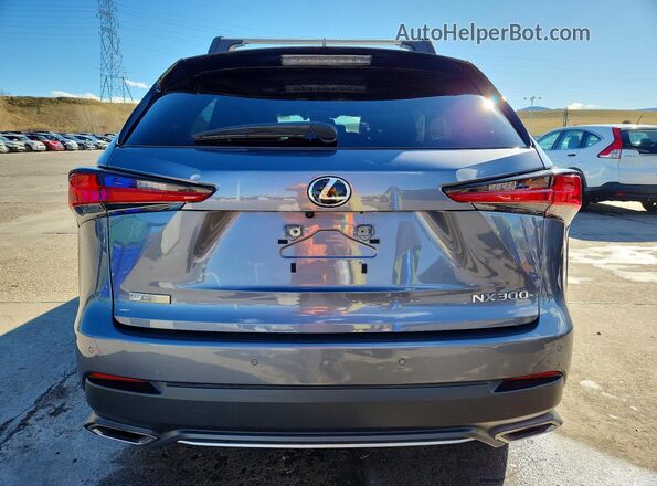 JTJSARDZ5L5011583 2020 LEXUS NX Gray უკანა ხედი