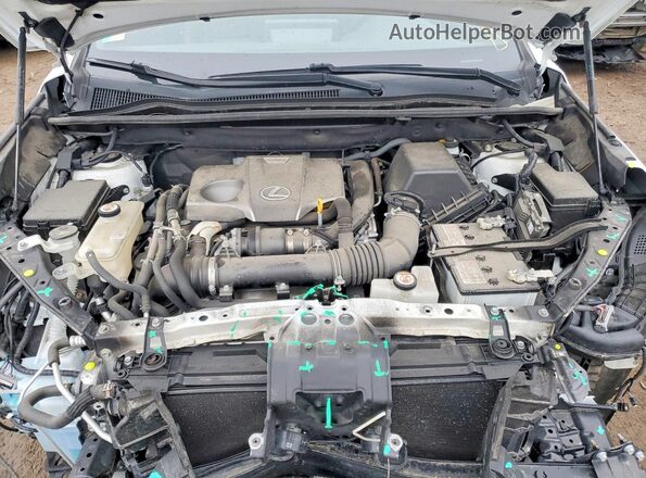 JTJSARDZ9L5013305 2020 LEXUS NX White Vista interior trasera