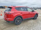 2017 Toyota Rav4 Se Red vin: JTMJFREVXHJ125668 2017 Toyota Rav4 Se Red vin: JTMJFREVXHJ125668