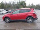2017 Toyota Rav4 Xle Red vin: JTMRFREV5HJ135446