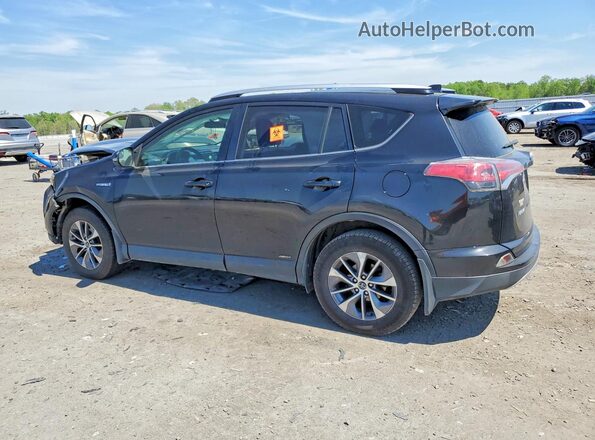 JTMRJREV5GD004190 2016 TOYOTA RAV4 Черный Задняя левая четверть