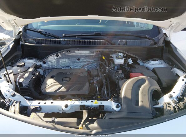 KL4AMCSL4SB061399 2025 BUICK ENCORE Белый Вид сзади