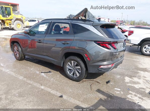 KM8JBCD13RU210841 2024 HYUNDAI TUCSON HYBRID Серый Задняя левая четверть