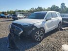 2020 Hyundai Palisade Sel White vin: KM8R44HE6LU065561