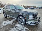 2026 Hyundai Palisade Limited Green vin: KM8RKESA0TU045114