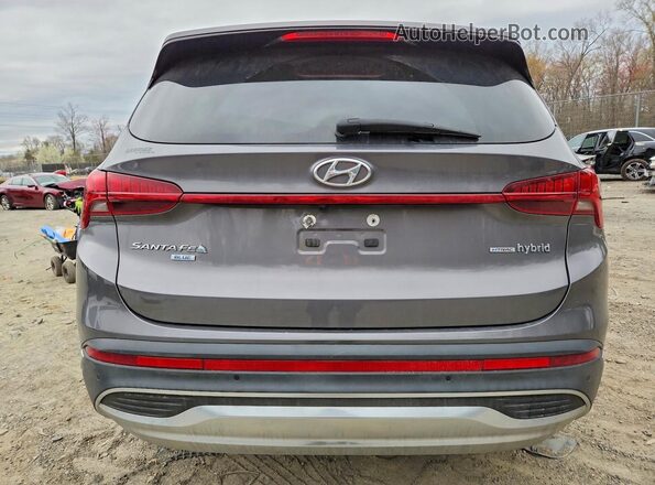 KM8S2DA17NU024986 2022 HYUNDAI SANTA FE HYBRID BLUE Gray Հետևի տեսք