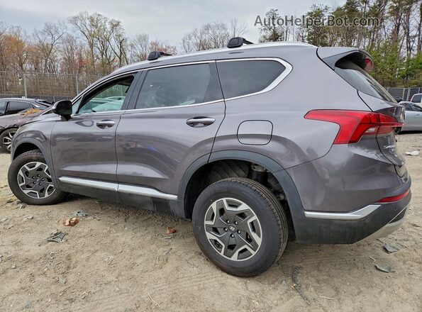 KM8S2DA17NU024986 2022 HYUNDAI SANTA FE HYBRID BLUE Gray Հետևի ձախ