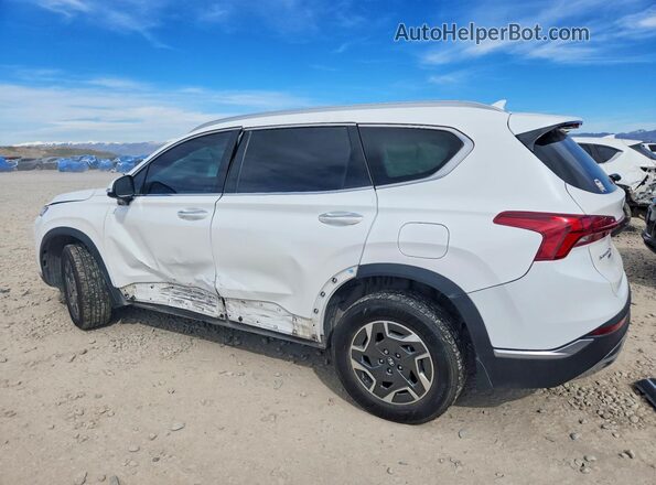 KM8S2DA1XMU011356 2021 HYUNDAI SANTA FE HYBRID BLUE White Rear left