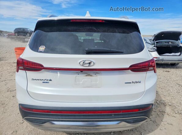 KM8S2DA1XMU011356 2021 HYUNDAI SANTA FE HYBRID BLUE White Rear view