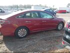 2016 Hyundai Sonata Hybrid Se Красный vin: KMHE24L18GA036675