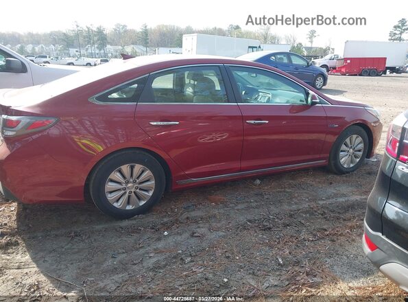 KMHE24L18GA036675 2016 HYUNDAI SONATA HYBRID Красный Вид задней части салона