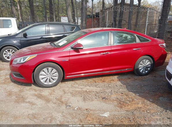 KMHE24L18GA036675 2016 HYUNDAI SONATA HYBRID Красный Панорамный вид салона 360°