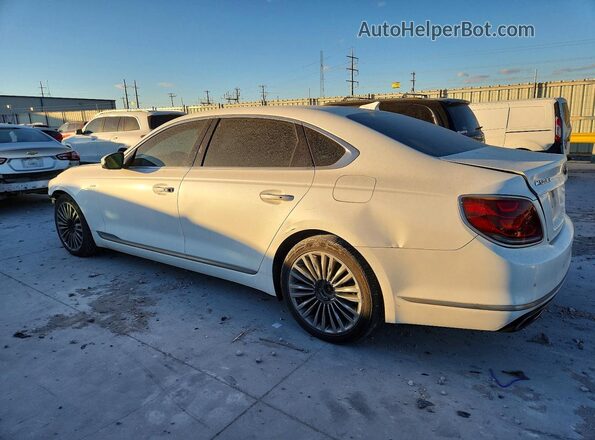 KNAS24J65K6009867 2019 KIA K900 Белый Задняя левая четверть