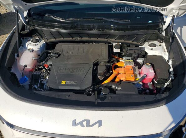 KNDCT3LE2S5263349 2025 KIA NIRO Белый Вид задней части салона