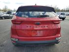 2022 Kia Sportage Nightfall Красный vin: KNDP6CAC8N7961919