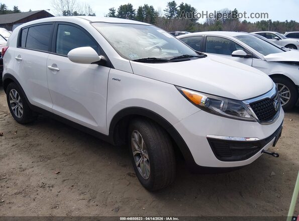 KNDPBCACXG7880175 2016 KIA SPORTAGE White Առջևի աջ