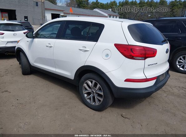 KNDPBCACXG7880175 2016 KIA SPORTAGE White Հետևի ձախ