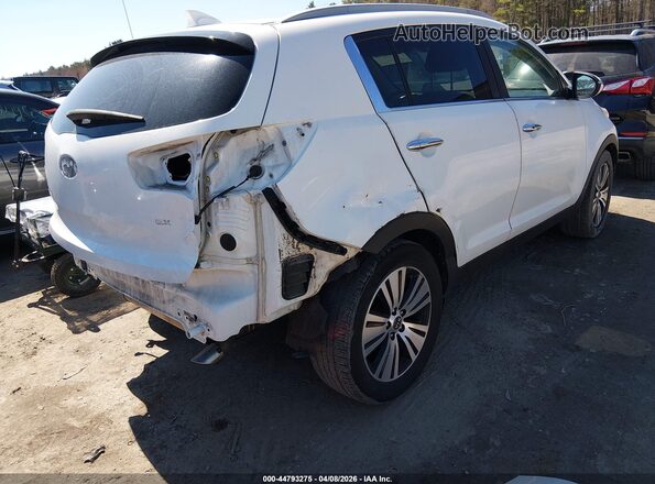 KNDPC3AC2G7878448 2016 KIA SPORTAGE White Tył prawy