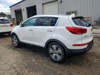 2016 Kia Sportage Ex Белый vin: KNDPC3AC3G7862629
